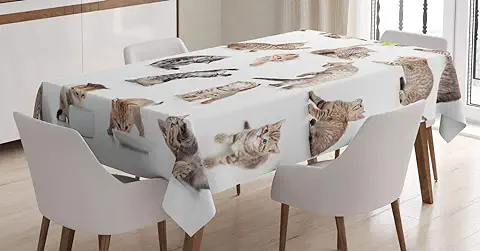 ABAKUHAUS Gato Mantele, Divertidos Gatos Juguetones Imagen, Resistente al Agua Apto Uso Exterior e Interior No Destiñen, 140 x 170 cm, Marrón Negro Blanco  