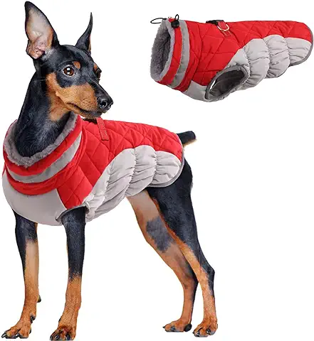 Abrigo para Perros de Invierno, Chaqueta Impermeable Perro Cálida Chaleco Traje Anti-Nieve Ropa de Invierno con Forro Polar & Reflectantes Tiras para Perros Pequeños Medianos y Grandes(Rojo, S)  