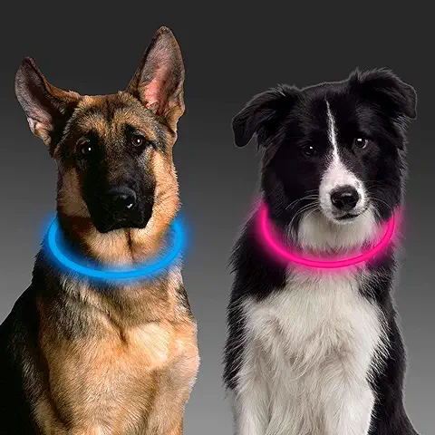 Aicharynic LED Collar Perro, 2PCS Collar Luminoso Perro, 3 Modos Collar de Seguridad LED USB Recargable, Collar Perro para Mascotas, LED Brillantes Collar Ajustable para Todos los Perro - Azul Rosado  