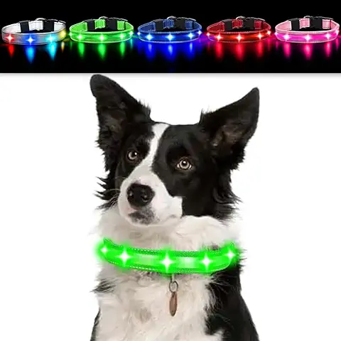 Airminti LED Collar Luminoso Perro, Collar Luz Perro, Collar de Seguridad para Perro Gato, Collar Brillante/Intermitente para Perros, Recargable por USB, Longitud Ajustable, 3 Modos de Luz  