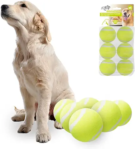 All for Paws - Bolas de Juguete para Perros para Lanzadores de Bolas, Pelota de Tenis Hyper Fetch, Divertidas Pelotas de Deporte para Hacer Ejercicio, Entrenamiento (Maxi Ball 6,3 cm)  