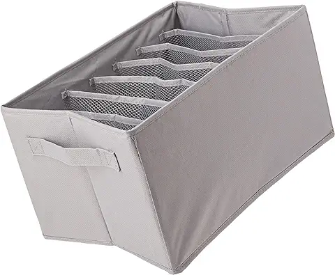 Amazon Basics 2 Unidad Organizadores para Vestidor, para Sujetadores y ropa Interior, Gris  