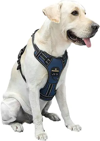 Arnes Perro Antitirones Pequeño Mediano Grande Arnés Pecho Perros Coche con Control de Manija y Linea Reflectante, Ajustable Cómodo Acolchado Arnes Chaleco Perro para Adiesreamiento(Azul, L)  