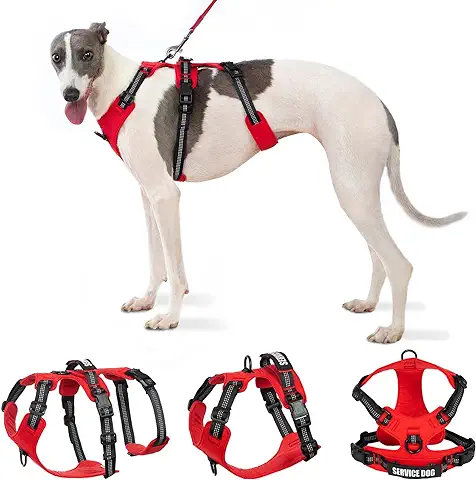 Arnes Perro Pequeño, Arnés para Perro a Prueba de Escape, Arnés Reflectante con Asa, 2 Parches de Servicio, Transpirable, Chaleco Ajustable para Perros Pequeños para Entrenar y Correr (Rojo, S)  