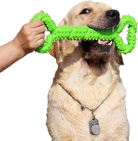 Atopo Duros Juguetes Morder para Perros, 13 Pulgada Goma Juguete Forma de Hueso con Superficie Convexa Resistente Juguetes Interactivos para Cachorro de Perros Pequeños Medianos y Grandes  