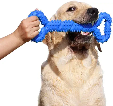 Atopo Duros Juguetes Morder para Perros, 13 Pulgada Goma Juguete Forma de Hueso con Superficie Convexa Resistente Juguetes Interactivos para Cachorro de Perros Pequeños Medianos y Grandes  