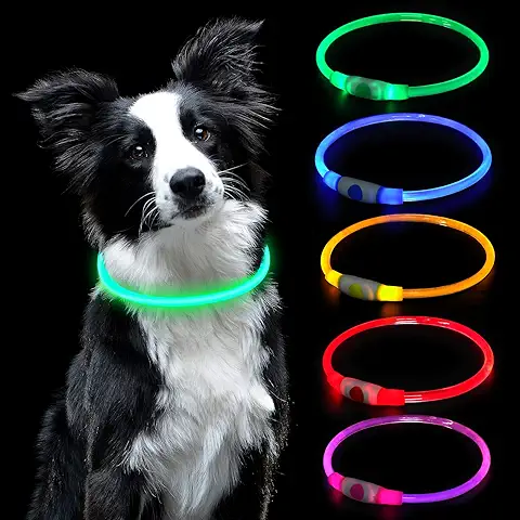 AUAUY Collar Luminoso Perro, Collar LED Recargable por USB Tamaño Ajustable, Collar Impermeable de Seguridad, Reutilizable para Perros Pequeños Medianos Y Grandes (Verde)  