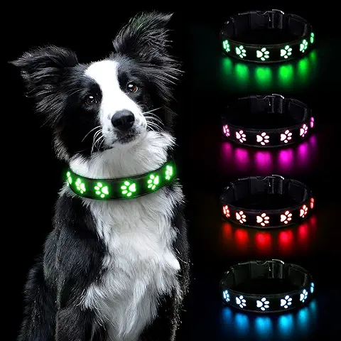 AUAUY Collar Luminoso Perro, Collar Luminoso Impermeable Recargable por USB, Ajustable Collar LED Perro para Perros Pequeños Medianos Grandes Que Caminan de Noche con Seguridad (Verde-S)  