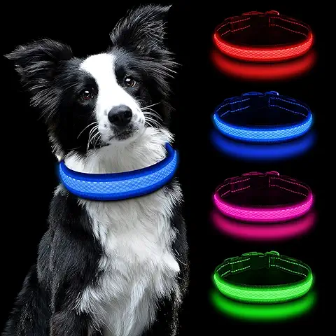 AUAUY Collar Luminoso Perro Recargable, Collar LED Perro, Collar Perro PequeñO, Collar Luminoso para Perros Impermeable, Ajustable Collar Perro Luz para Perros PequeñOs/Medianos/Grandes（Azul）  