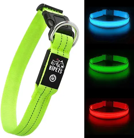 BIPETS - Collar Luminoso Perro Recargable con USB/Tipo C - Collar Perro Luz con 3 Modos de Iluminación LED e Impermeable - Collar Luz Perro de Seguridad y Resistente  