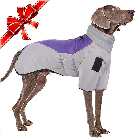 Chaquetas Invierno para Perro, Abrigos para Perros Fríos para Perros Grandes, Ropa Impermeable para Mascotas, Chaquetas Deportivas para Perros Calientes, con Reflectante de Seguridad y Arnés D-Snap  