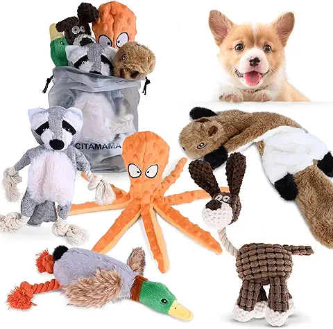 Divierte a tu perro con los juguetes interactivos más innovadores y divertidos del mercado.