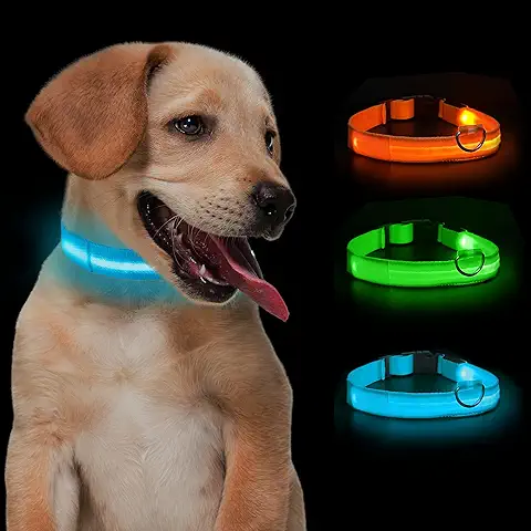 Collar Localizador Luminoso con luz led para Perro,Collar Reflectante de Noche para Pasear Mascotas,Correa para Perros Pequeños Grandes y Mediano con Iluminación,Collar con Luces para Gato Ajustable  