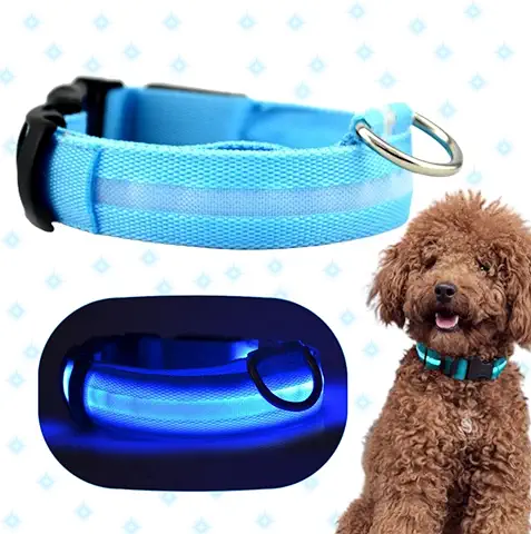 Collar Luminoso para Perro Pequeño, Mediano y Grande, 3 Modos Perros Noche, Recargable, Ajustable y Resistente al Agua. Collar Elegancia y Seguridad con Leds Luminosos. (L 41-56cm)  