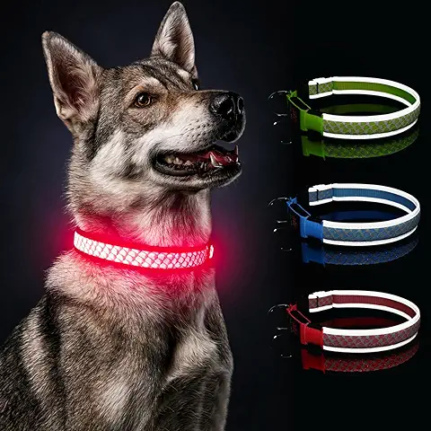 Collar Luminoso Perro Mediano Longitud Ajustable DQGHQME Collar de Seguridad Reutilizable para Perros Recargable USB, Collar LED Perro, Reflectante Collar para Perro con Luz Impermeable (M, Rojo)  