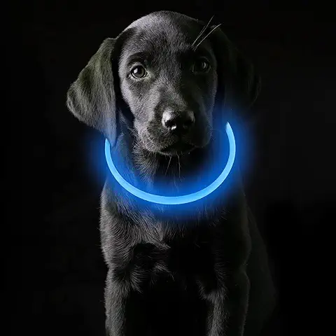 Coolzon Collar Luminoso y Recargable para Perros y Gatos Pequeños, Medianos y Grandes - Collar con Luz LED Impermeable y con 3 Modos de Luz, Longitud Ajustable - Azul  