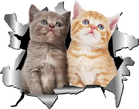 CUHZA 3D Cat Stickers,3D Cat Extraíble Autoadhesivo Decoración Etiqueta Engomada Del Coche Ventana Coche Animación Decoración Divertida Gatito Etiqueta Forma Etiqueta Engomada Del Coche  