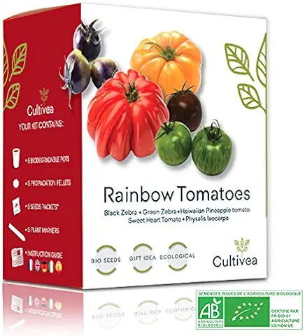 CULTIVEA® Mini Kit Huerto de Tomates Arcoíris – 100% Semillas Bio - Jardina, Decora y Degusta - Idea de Regalo (Cebra Negra y Verde, Tomate Hawaiana, Tomate de Corazón Dulce, Physalis Ixocarpa)!  