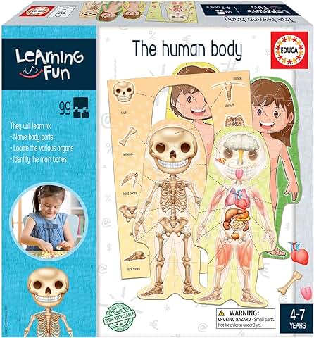 Educa 18842 Learning is Fun, el Cuerpo Humano, Juego Educativo para Niños a Partir de 4 Años  