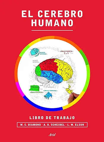 El Cerebro Humano. Libro de Trabajo (Ariel)  