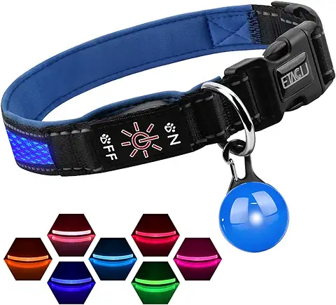 ETACCU Collar de Perro LED, Collar de Perros Ajustable con 3 Modos y 7 Colores, Collar Luminoso Impermeable Recargable por USB, Collares Básicos para Mascotas (Pequeño (30-45cm), Azul)  