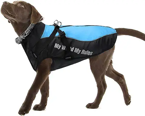 FEimaX Abrigo para Perro de Invierno Impermeable Chaqueta de Felpa Cálido Reflectante Chaleco de Algodón Suave para Cachorro Ropa para Mascotas Perros Pequeños, Medianos y Grandes  