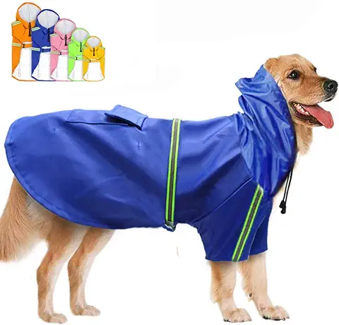 Descubre los irresistibles accesorios de moda para perros que harán que tu mascota destaque con estilo