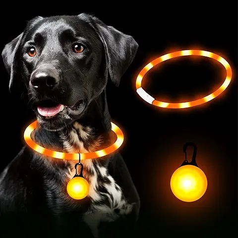 FORMIZON Collar Luminoso Perro, Collar Luminoso LED Perro Impermeable Ajustable, 4 Modos Collar Perro Luz Recargable, Collar LED Perros Brillante para Perros Gatos Pequeños Medianos Grandes  