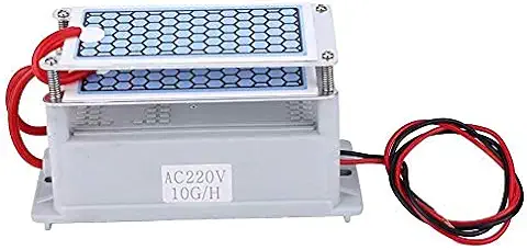 Generador de Ozono, Generador de Ozono Integrado Limpiador de Placas de Cerámica para el Hogar Purificador de Olores Generador de Ozono 10g para Secadoras, Lavavajillas, Refrigeradores(220V)  