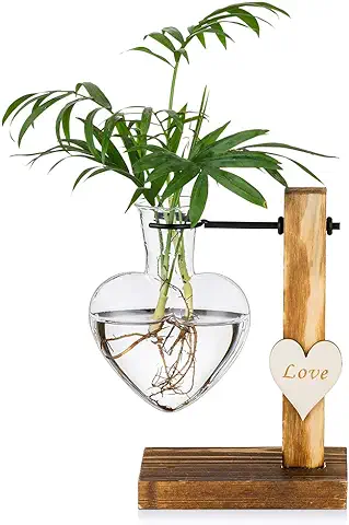 Glasseam Florero De Vidrio con Soporte De Madera, Floreros Hidropónicos De Vidrio con Un Solo Corazón Creativo, Estación De Propagación De Plantas Modernas Florero De Bulbo  