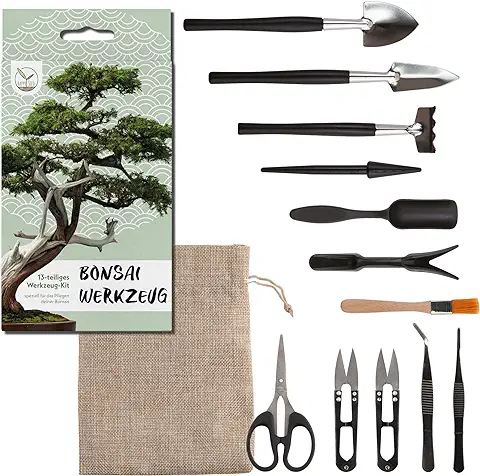 HappySeed Kit Bonsai Juego de Herramientas de 13 Piezas con Práctica Bolsa - Mini Herramientas Jardineria para Plantas de Interior y un Cultivo Profesional de Bonsái  