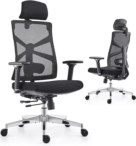 HOLLUDLE Silla de Oficina Ergonómica con Respaldo Adaptativo, Silla de Escritorio de Alto Respaldo con Reposabrazos 4D, Profundidad de Asiento Ajustable, Soporte Lumbar y Reposacabezas 2D, Negro