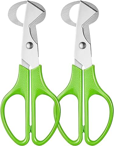 Hotype Tijeras Huevos Codorniz, Codorniz Huevos Tijeras Huevo Cortador, Tijeras de Acero Inoxidable para Huevos de Codorniz, Codornices Cáscaras Huevo Tijeras para Hogar, Cocina, 2 Piezas  