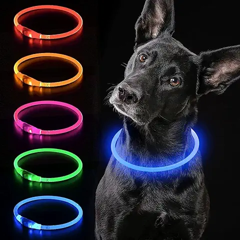 ITayga Collar Luminoso LED Perro Recarable Collares Luminosos para Perros 5 Colores Haga Que su Perro Sea Muy Visible en la Oscuridad, Collar con Luz Perro Pequeño,Mediano,Grande. Azul  