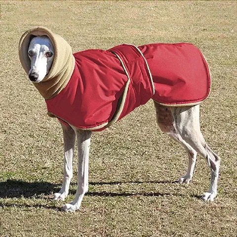 IUOU Abrigo Impermeable para Perros, Ropa para Perros Súper Cálida y Gruesa para Perros Medianos, Galgos, Lobos y Perros Pastores  