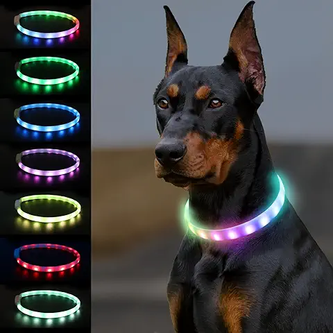 Joytale Collar de Perro Luminoso, Collar Luz Perro para la Oscuridad, Cómodo Collar de Perro Intermitente Recargable, Impermeable Collar LED para Perros Grandes, Medianos y Pequeños  