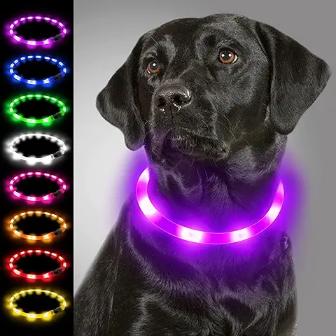 Joytale Collar Luminoso Perro, Collar para Mascotas LED Ajustables con Luz, Collares Recargable USB para Perros Pequeños, Medianos y Grandes, Morado  