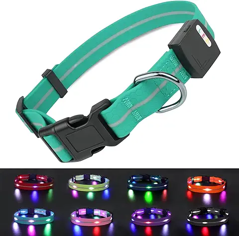 Joytale Collar Luminoso Perro Recargable, LED Collar Luminoso para Perros con 3 Modos de Iluminación, Impermeable PVC Collar Luz Perro Ajustable para Perros Pequeños Medianos Y Grandes, Turquesa, M  