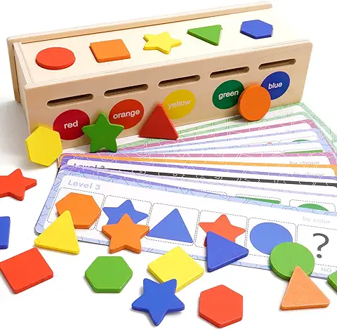 Juego de Clasificación Juguetes Montessori con caja de Almacenamiento para 2 3 4 Años Clasificación de Colores Juguete Educativo de Clasificación con 25 Bloques Geométricos y 12 Tarjetas de Prueba  