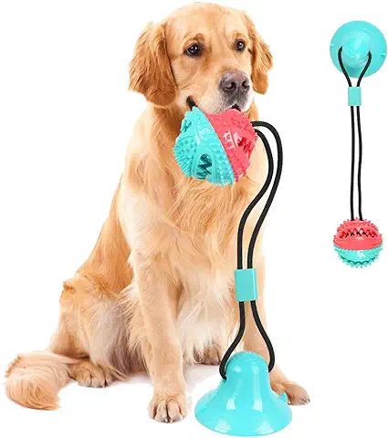 Juguetes para Morder Pelota de Juguete para Perros con Ventosa, Juguete Multifuncional para Perros con Cuerda Elástica, Bolas para Morder, Bolas para Masticar para Perros para Pisos de Madera, Paredes  