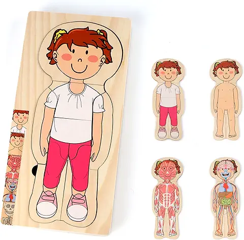 KABENFIS Juego de Anatomía para Niñas de 29 Piezas Rompecabezas de Cuerpo de Madera para Niños y Niñas  