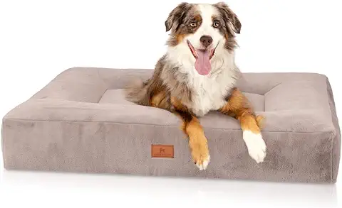 Knuffelwuff Cama Ortopédica Midland M-L 80 x 60 cm, Color Gris, Cojín para Perros Grandes, Medianos y Pequeños, Lavable  