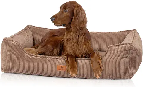 Knuffelwuff Nunavut - Cama Ortopédica para Perros (120 x 85 cm, Funda Extraíble, Lavable, para Perros Grandes, Medianos y Pequeños), Color Marrón  