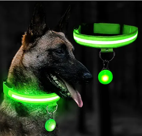 Kriogor Collar Luminoso Perro Recargable, 3 Modos LED Collar Luminoso Perro con Ajustable y Impermeable, Collar Perro Luminoso para Perros Pequeños/Medianos/Grandes(S, Verde)  