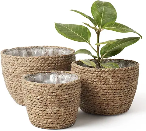 La Jolíe Muse Cesta de Plantas de Hierba Marina en el Interior y en el Exterior, Cubierta de Macetas, Contenedores de Plantas, Natural (3-Pack), 26cm+22cm+16cm  