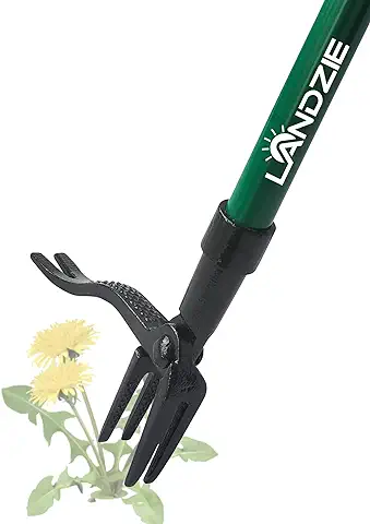 Landzie Weeder Herramienta de Extracción Manual de Malas Hierbas de Acero de 44 Pulgadas de Largo para Césped y Jardín, Deshierbe Fácilmente el Césped sin Doblarse ni Arrodillarse, 4 Garras  