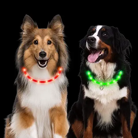 LED Collar Perro, 2PCS Collar Luminoso Perro, Collar Perro para Mascotas, Collar de Seguridad LED USB Recargable, 3 Modos de LED Brillantes Collar Ajustable Todos los Perros y Gatos  