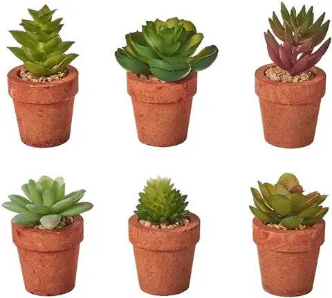 LOLAhome Set de 6 Plantas Artificiales de Cactus con Maceta de Pastade Papel Terracota  