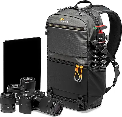 Lowepro Slingshot SL 250 AW III - Mochila Bandolera para Cámara Refelx DSLR Sin Espejo, con Acceso QuickDoor, Compartimento Para Tablet 10”, Para Sony A7, IPad, Surface Pro, 300D Ripstop, Gris  