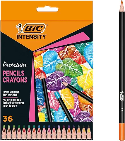 Lápices de Colores para Adultos BIC Intensity Premium Woodcase con Mina Resistente a las Roturas - Multicolor, Pack De 36  